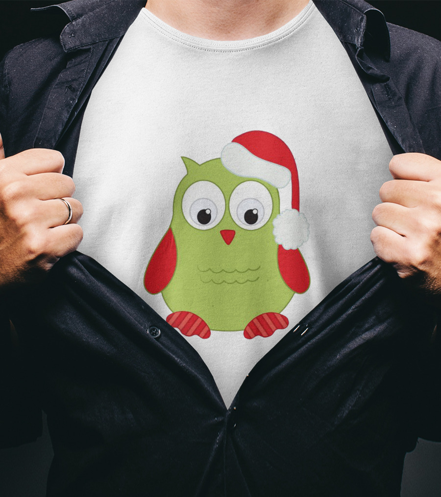 Cute Santa Owl Christmas Green And Red Cartoon Owl Santa Hat T-Shirt