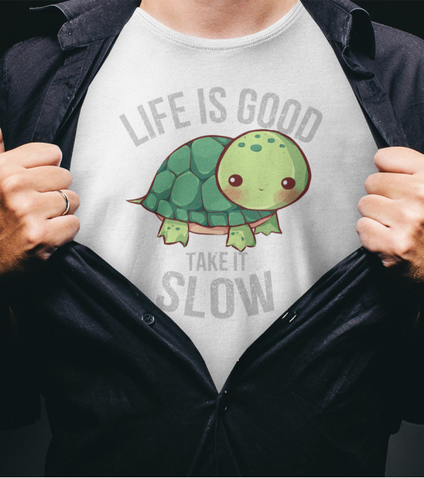 Life Is Good Take It Slow Turtle T-Shirt