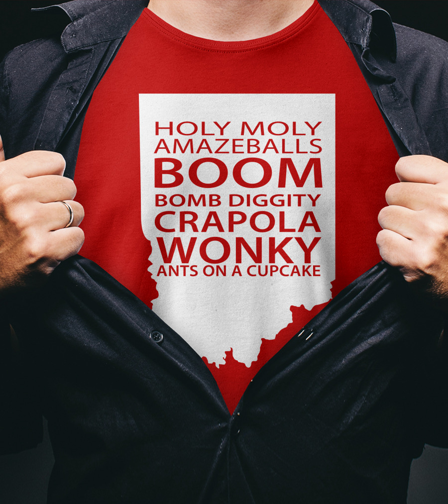 Holy Moly Amazeballs Boom Bomb Diggity Crapola Wonky Ants On A Cupcake T-Shirt