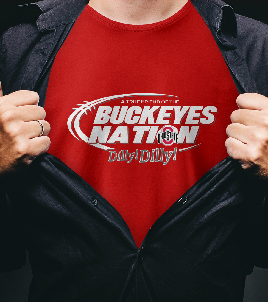A True Friend Of The Buckeyes Nation Ohio State Dilly Dilly T-Shirt