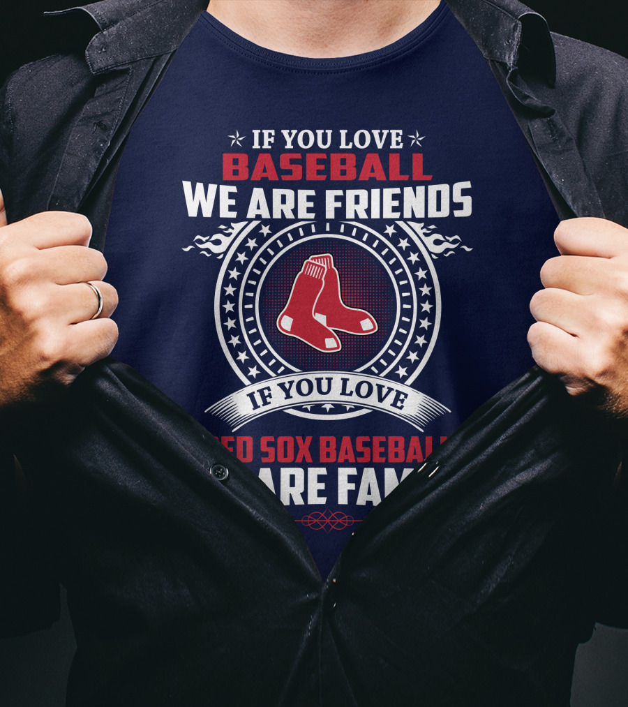 If You Love Baseball We Are Friends Red Sox Baseball We Are Family T-Shirt