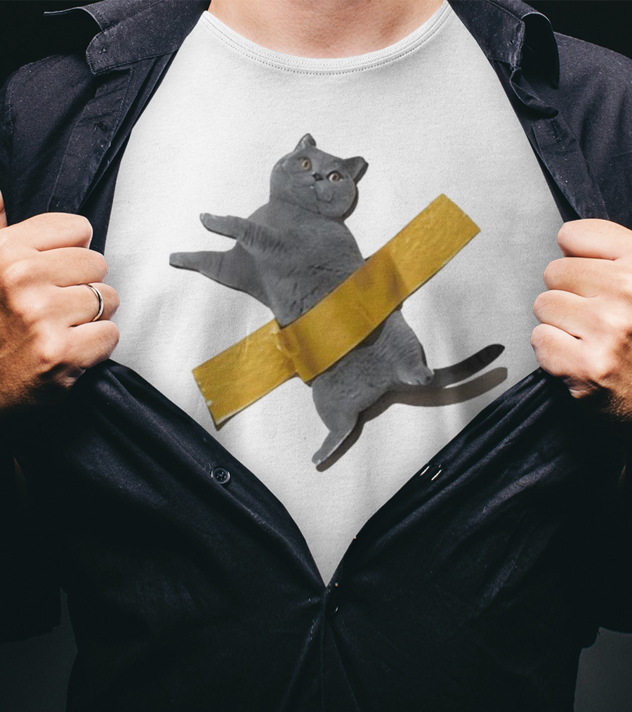 Tape Cat Joke Humor Duct Tape Gag T-Shirt