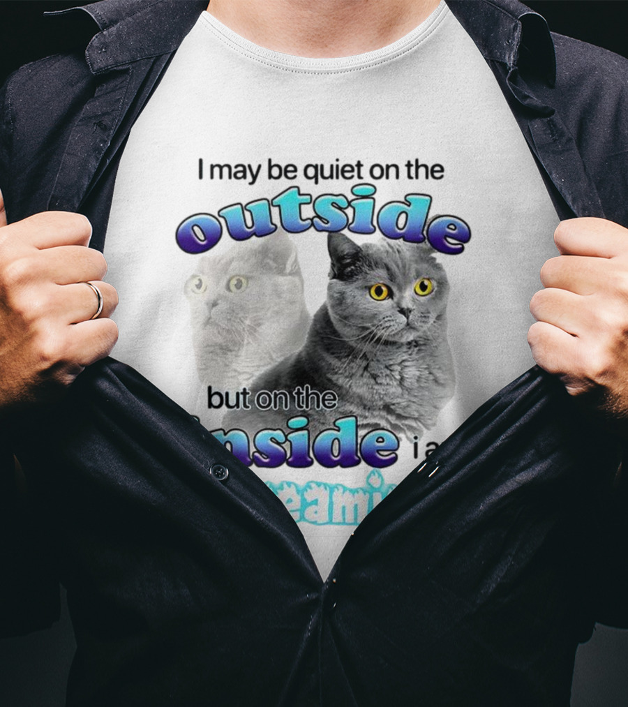 Cat I May Be Quiet On The Outside But On The Inside I Am Screaming T-Shirt