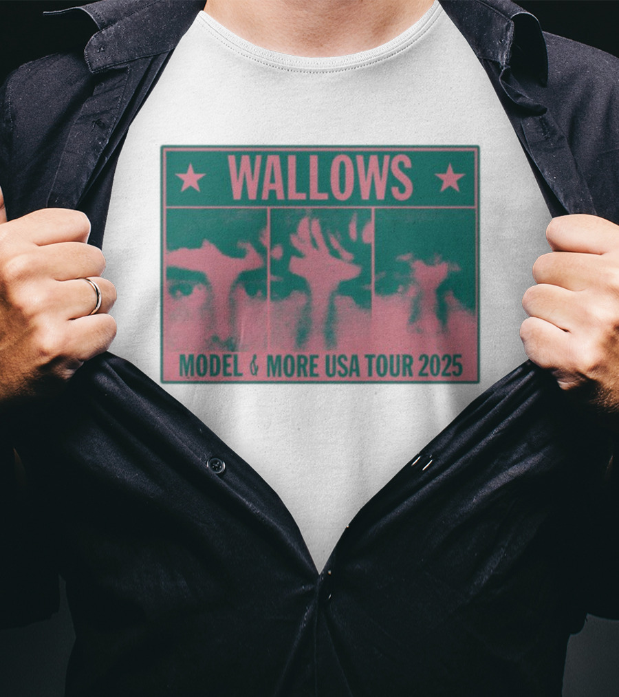 Wallows Model & More USA Tour 2025 Colorblock Faces T-Shirt