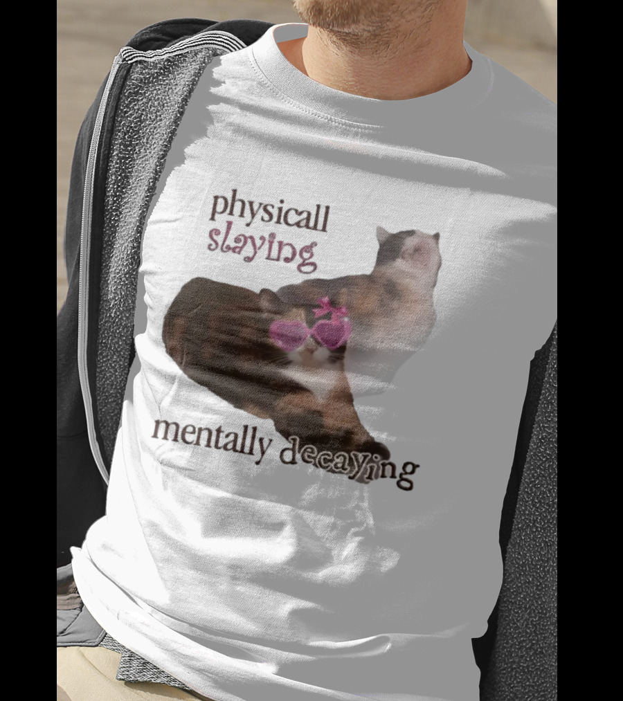 ```Snazzyseagull Physically Slaying Mentally Decaying Cat With Pink Heart Sunglasses``` T-Shirt