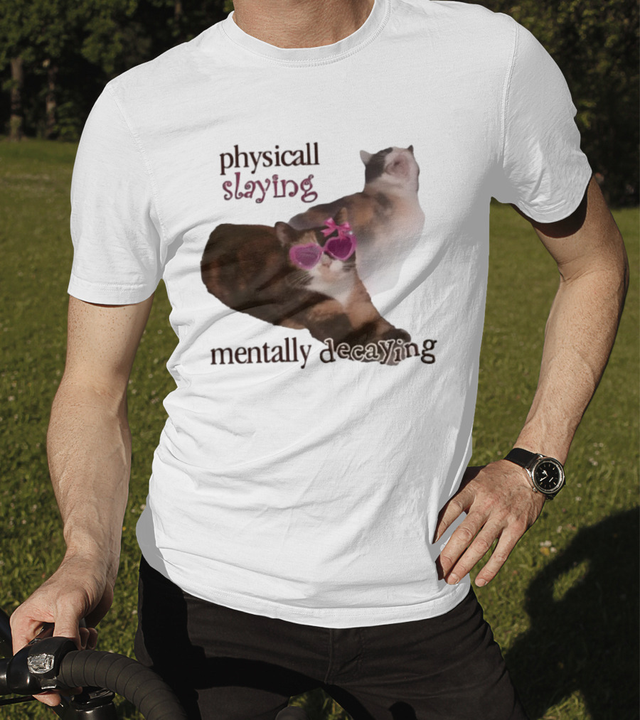 ```Snazzyseagull Physically Slaying Mentally Decaying Cat With Pink Heart Sunglasses``` T-Shirt
