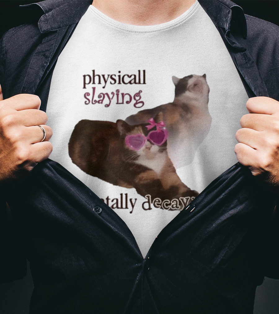 ```Snazzyseagull Physically Slaying Mentally Decaying Cat With Pink Heart Sunglasses``` T-Shirt