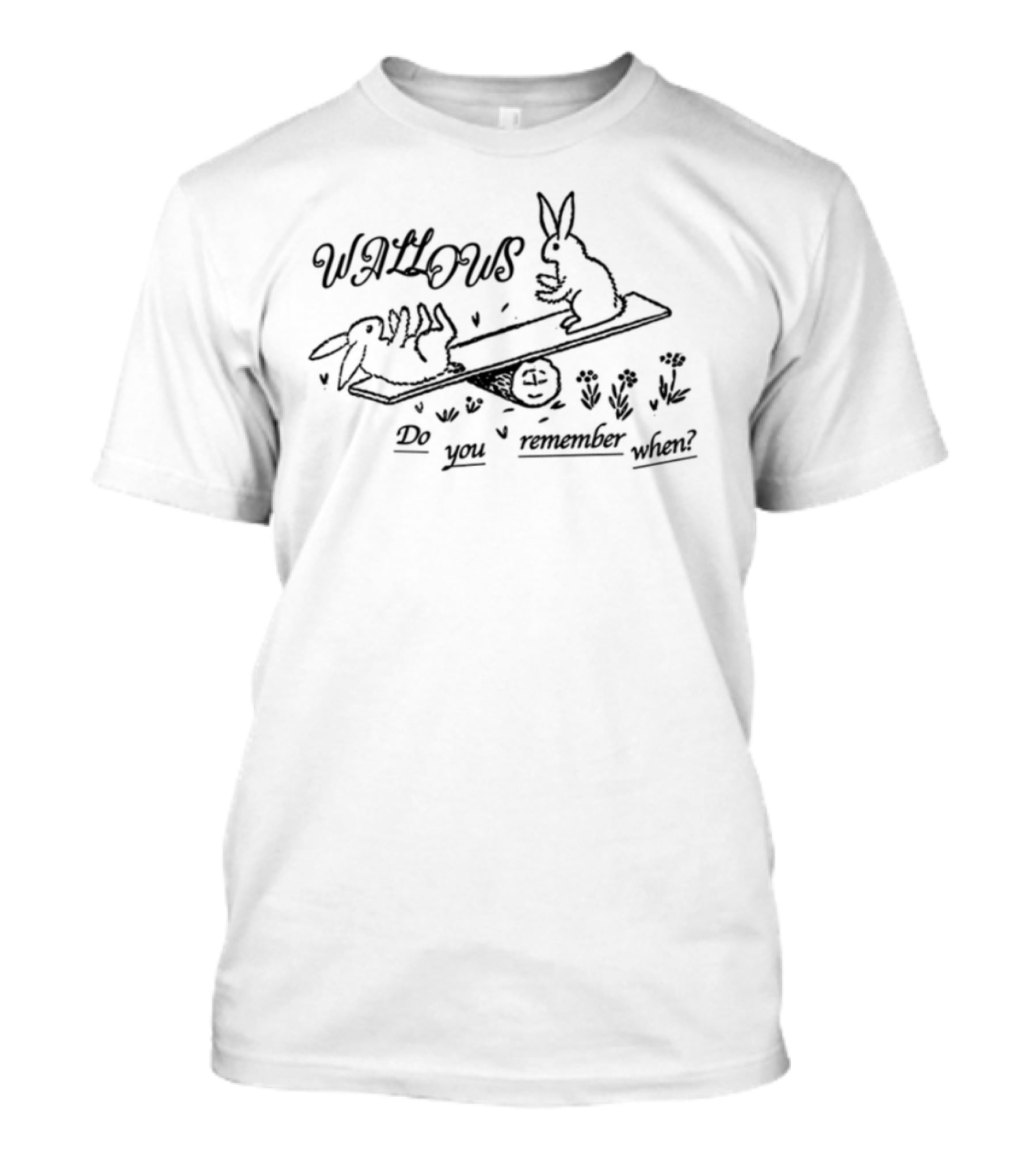 Wallows Remember When Rabbit Skateboarding T-Shirt