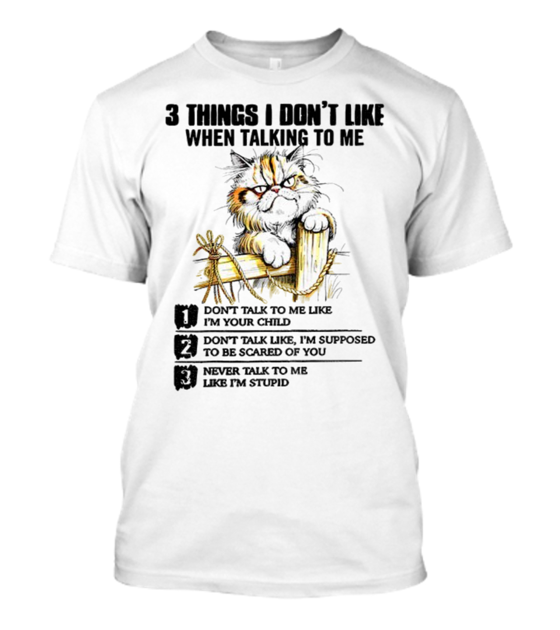 3 Things I Don’t Like Cat Grumpy Humor Don’t Talk To Me Like I’m Your Child T-Shirt