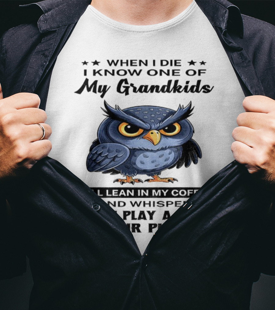 Owl When I Die Grandkids Whisper Can I Play A Game T-Shirt