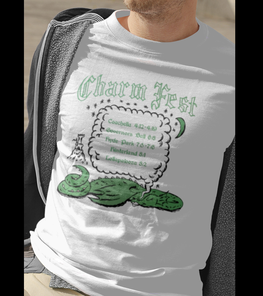 Charm Fest Coachella Governors Ball Hyde Park Primavera Hellapaloosa 2025 T-Shirt