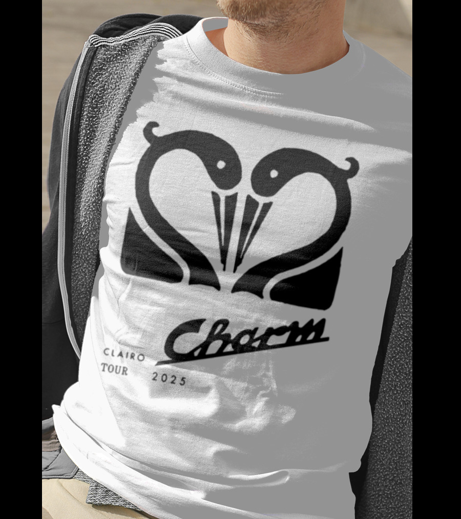 Charm Swan Europe Tour 23 Concert Aesthetic Retro Swans T-Shirt