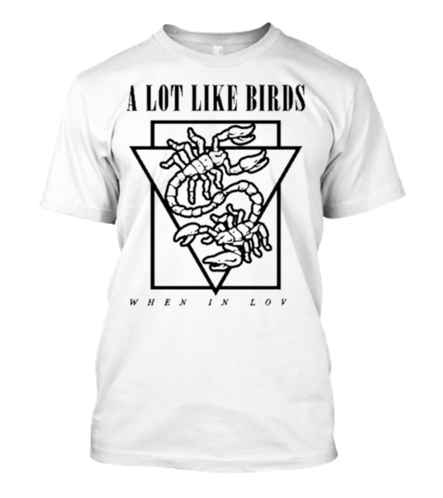 A Lot Like Birds When In Love Triangle Artwork T-Shirt
