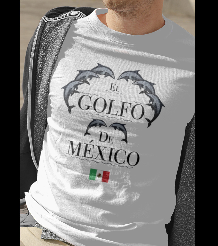 Golfo De México Dolphins Mexican Flag T-Shirt