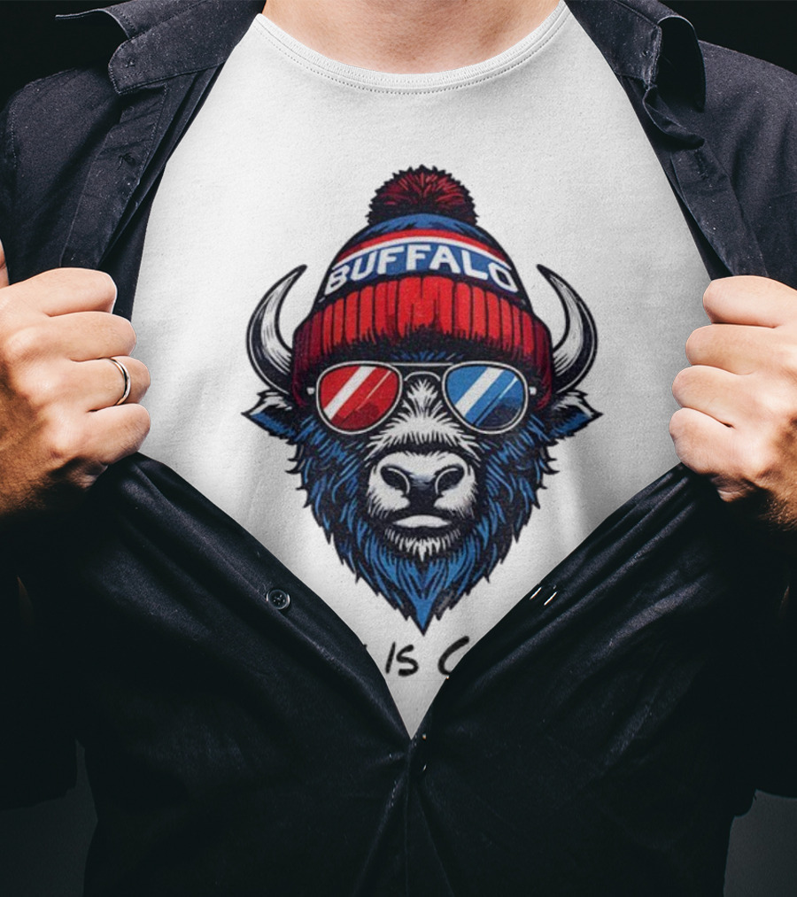 Buffalo Bills Destiny Is Calling 2025 NFL Football Mascot T-Shirt