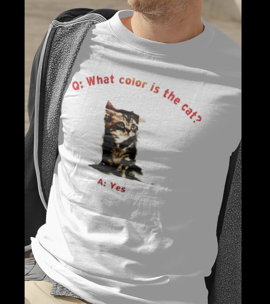 What Color Is The Cat Yes Kitten T-Shirt