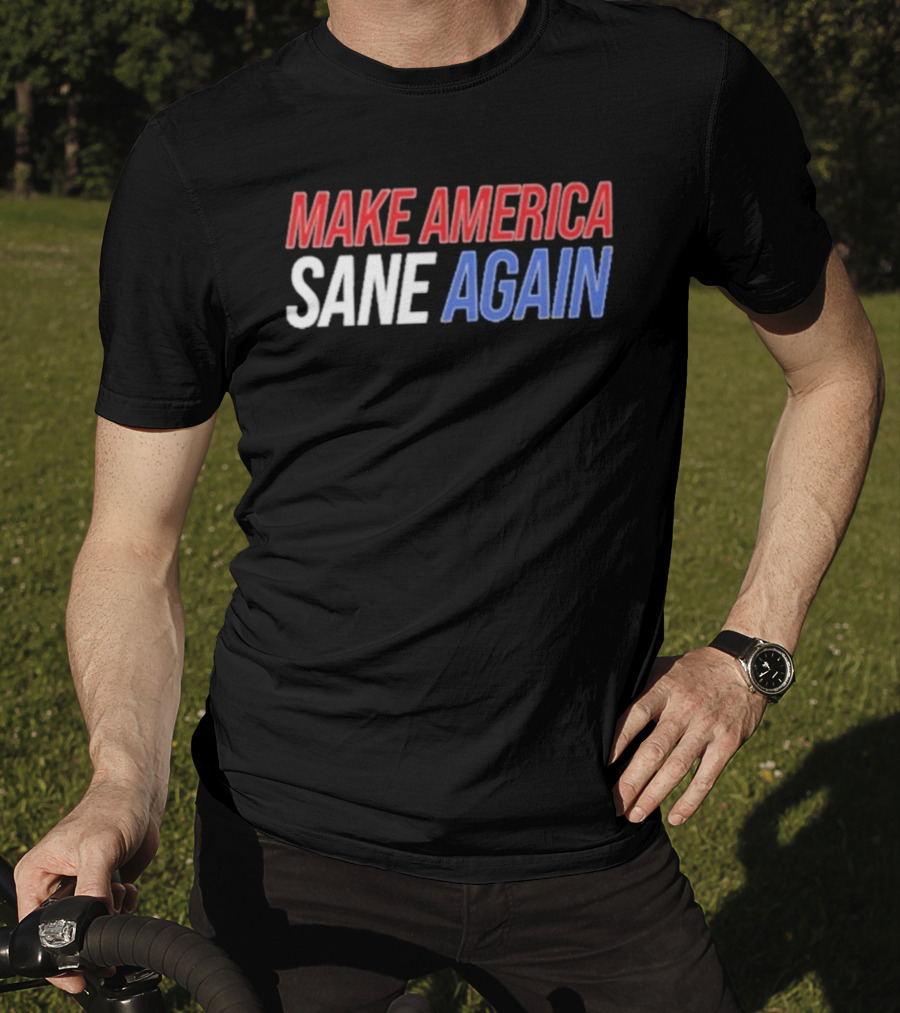 Duke Gomez Make America Sane Again Red White Blue Text T-Shirt