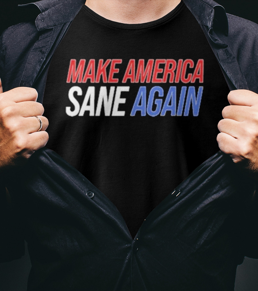 Duke Gomez Make America Sane Again Red White Blue Text T-Shirt