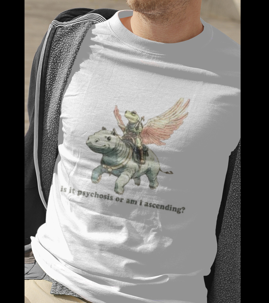 Frog Riding Flying Hippo Psychosis Or Ascension T-Shirt
