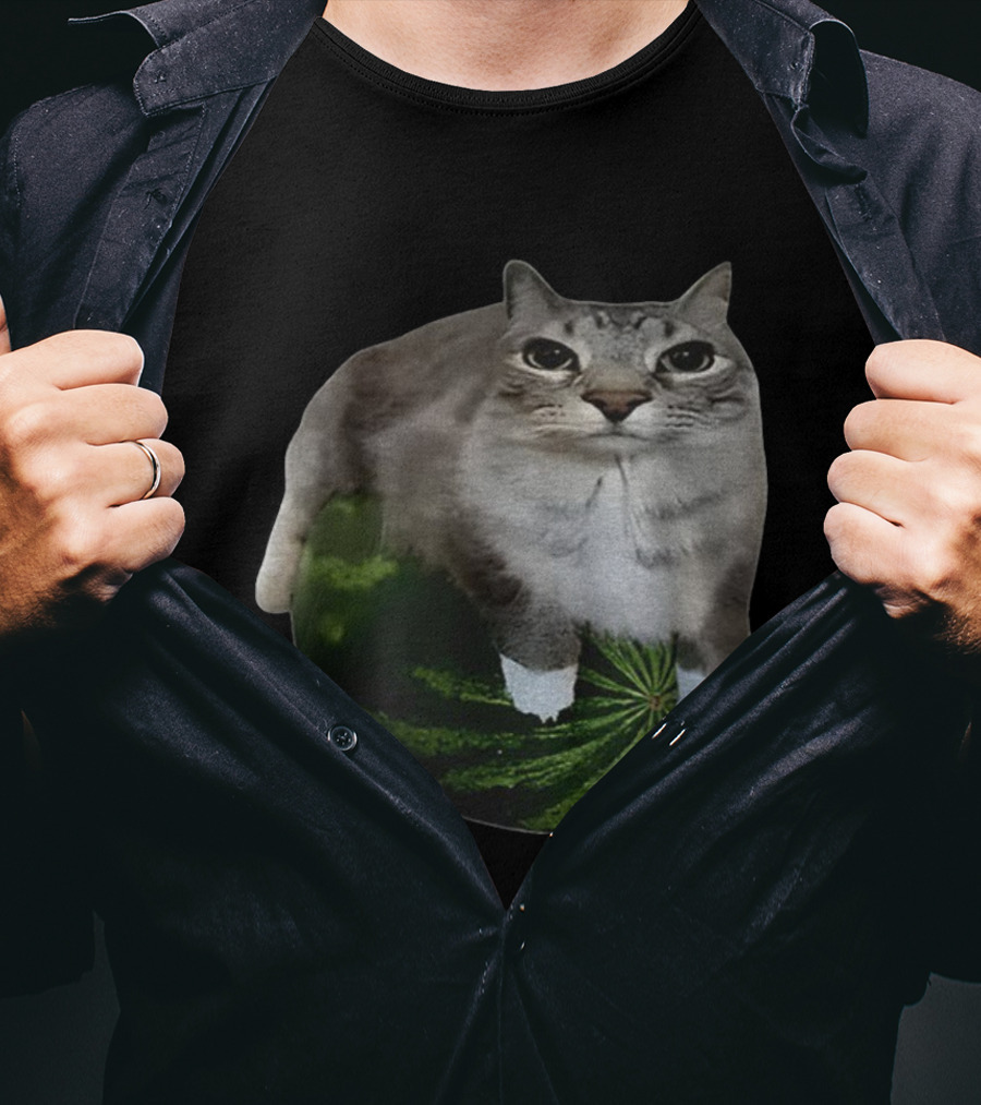 Watermelon Cat Meme Humor Collage T-Shirt