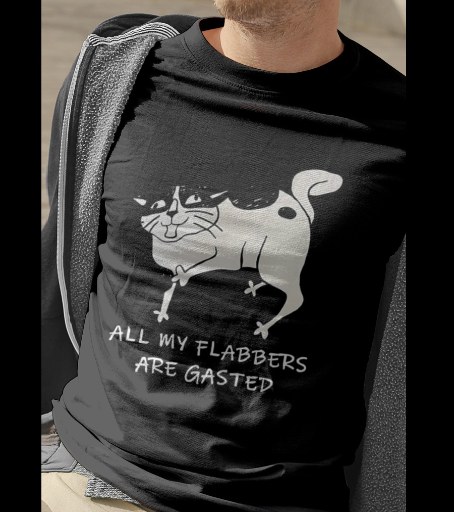 Surprised Cat All My Flabbers Are Gasted Sketch T-Shirt