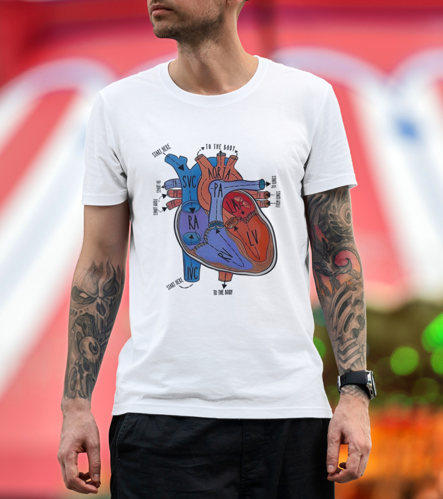 Heart Anatomy Blood Flow SVC RA RV IVC Aorta PA PV LA LV T-Shirt