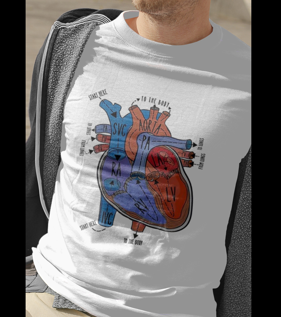 Heart Anatomy Blood Flow SVC RA RV IVC Aorta PA PV LA LV T-Shirt