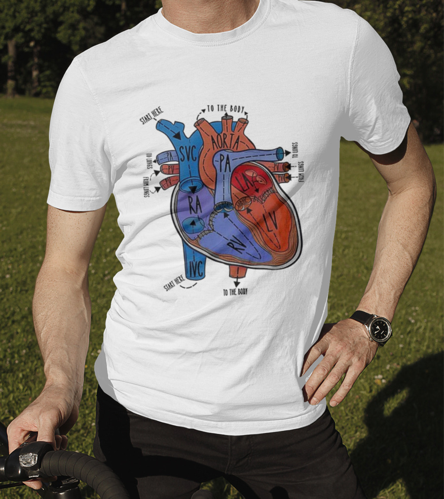 Heart Anatomy Blood Flow SVC RA RV IVC Aorta PA PV LA LV T-Shirt