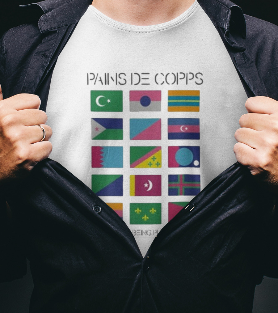 Pains De Corps The Pains Of Being Pure At Heart Flags T-Shirt