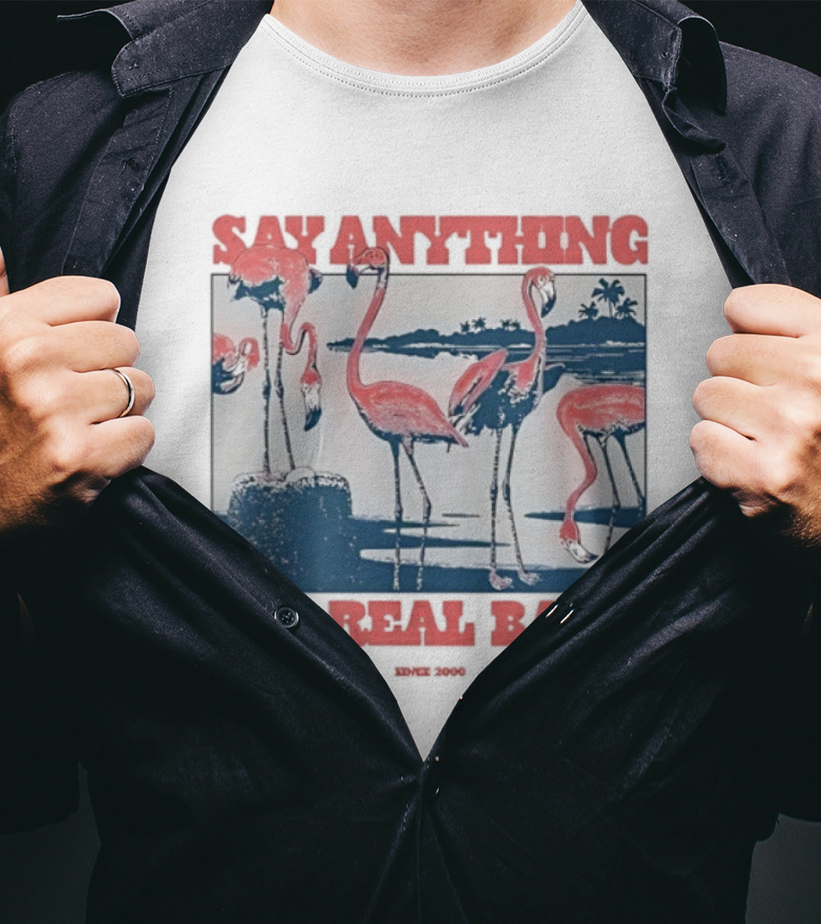 Say Anything Flamingo Is A Real Band Since 2000 T-Shirt