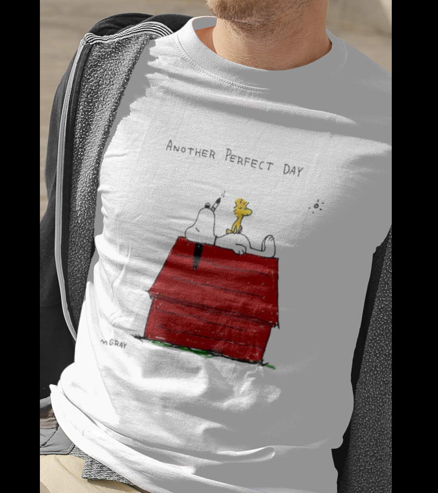 Snoopy And Woodstock Relaxing On Doghouse Perfect Day T-Shirt
