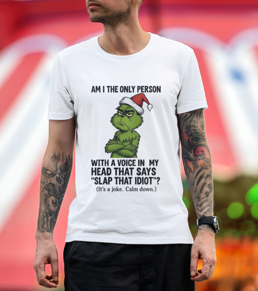 Grinch Santa Hat Am I The Only Person With A Voice In My Head That Says Slap That Idiot Christmas T-Shirt