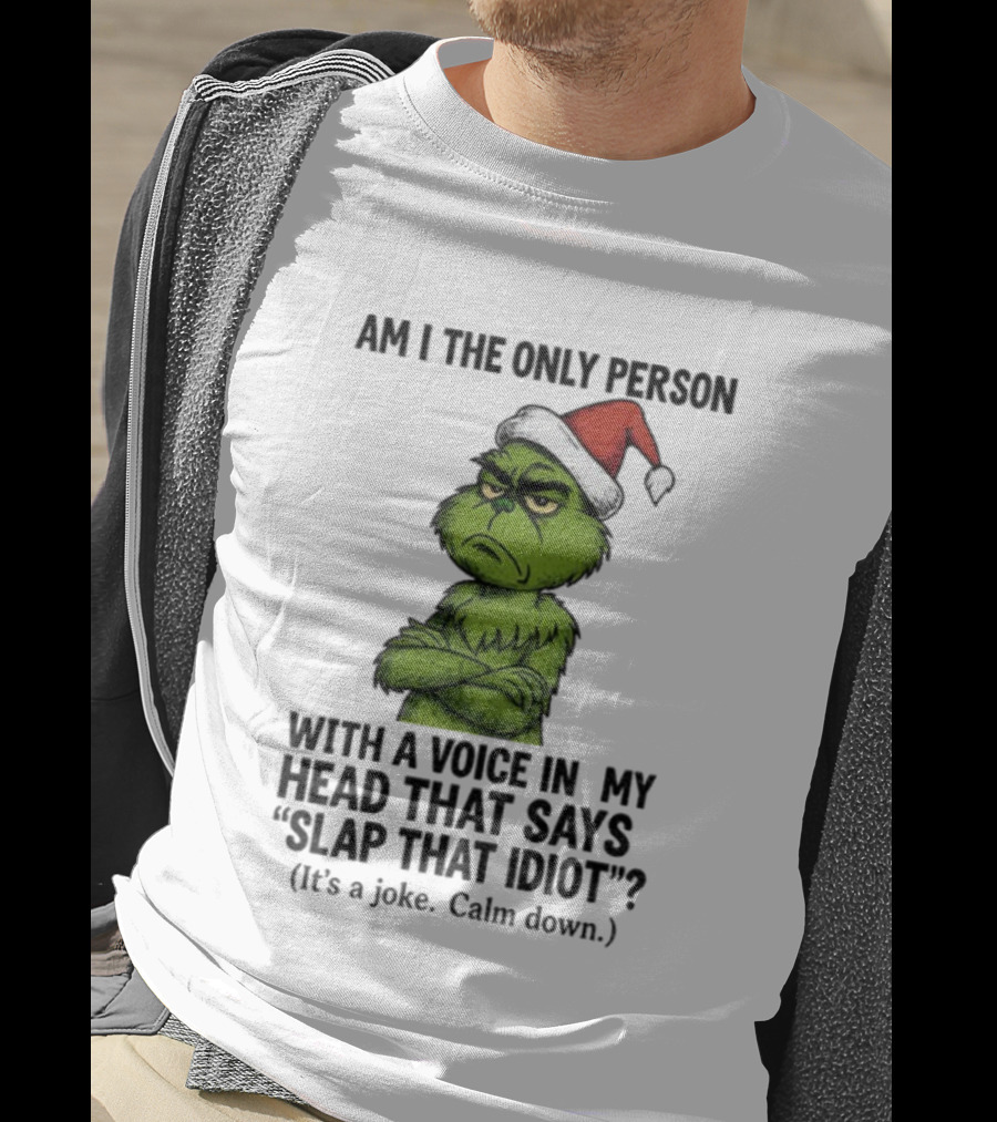 Grinch Santa Hat Am I The Only Person With A Voice In My Head That Says Slap That Idiot Christmas T-Shirt
