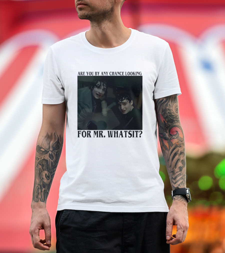 Mike And Will Are You By Any Chance Looking For Mr. Whatsit Stranger 1980s Adventure Fantasy T-Shirt