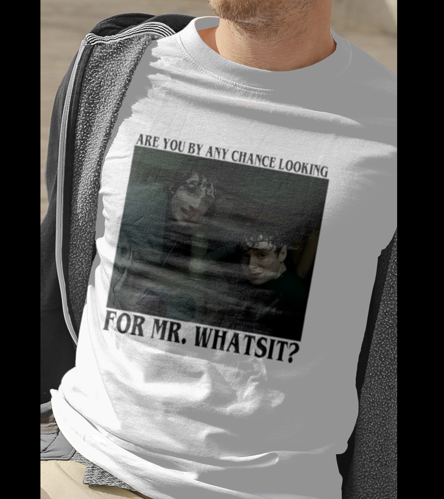 Mike And Will Are You By Any Chance Looking For Mr. Whatsit Stranger 1980s Adventure Fantasy T-Shirt
