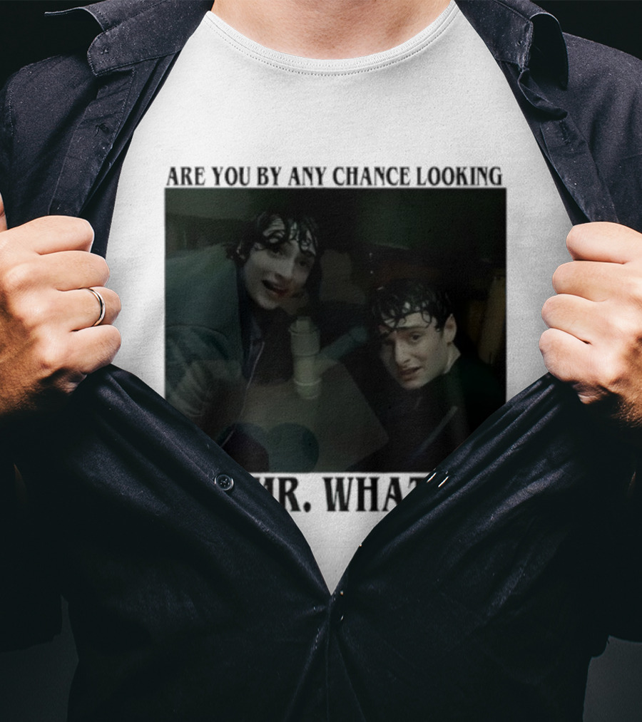 Mike And Will Are You By Any Chance Looking For Mr. Whatsit Stranger 1980s Adventure Fantasy T-Shirt