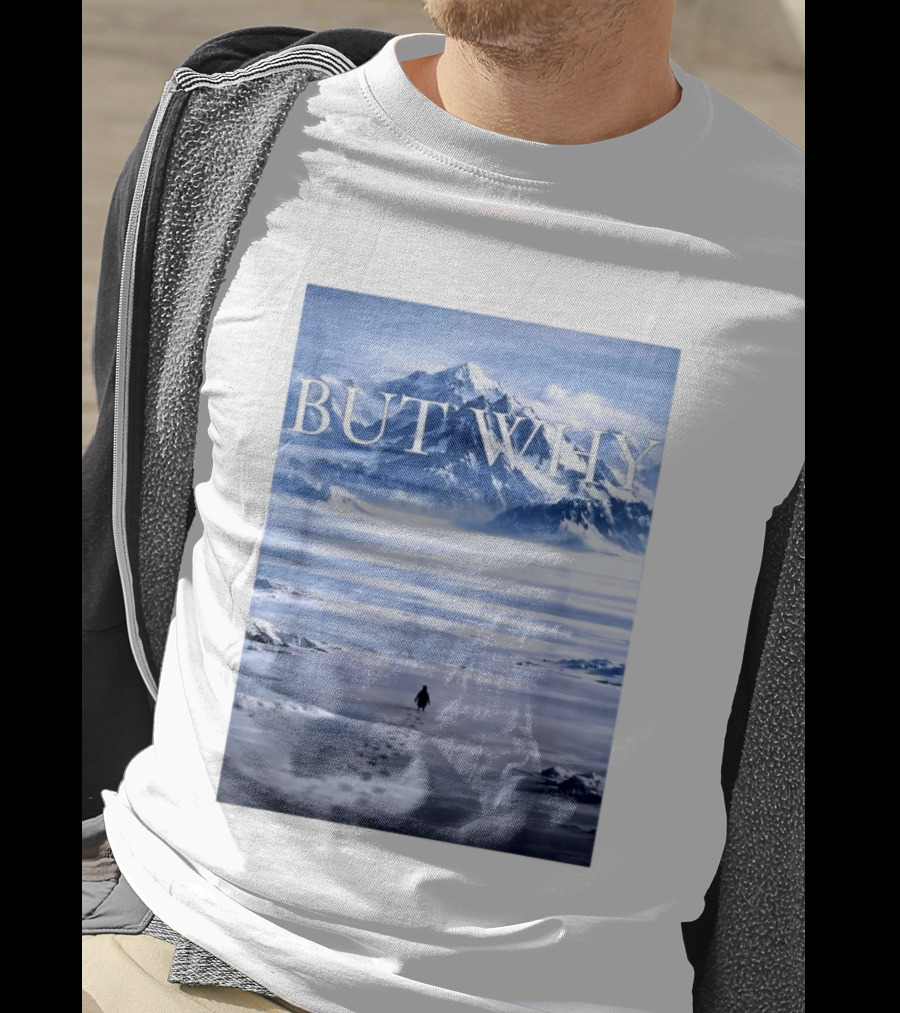But Why Penguin Mountains T-Shirt
