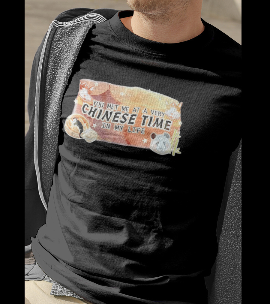 You Met Me At A Very Chinese Time Panda Dumplings Chopsticks Cat Pagoda T-Shirt