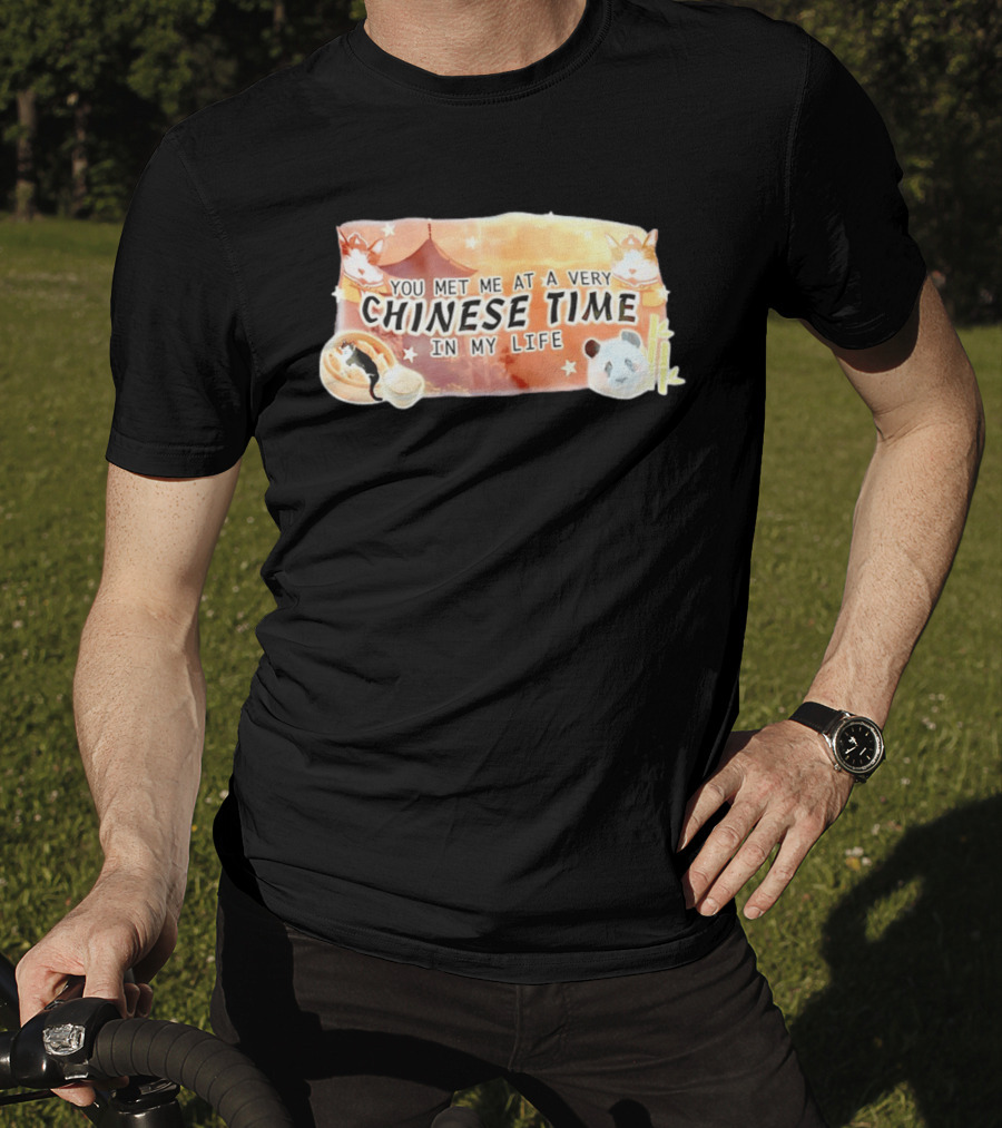 You Met Me At A Very Chinese Time Panda Dumplings Chopsticks Cat Pagoda T-Shirt