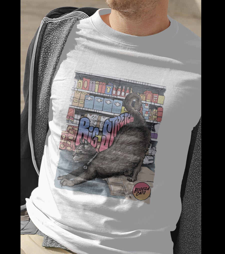 Big Stretch Bodega Cats Groceries Stack T-Shirt