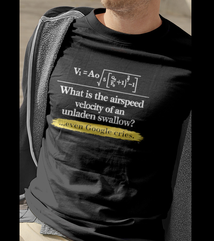 V1 Ao Formula What Is The Airspeed Velocity Of An Unladen Swallow Even Google Cries T-Shirt