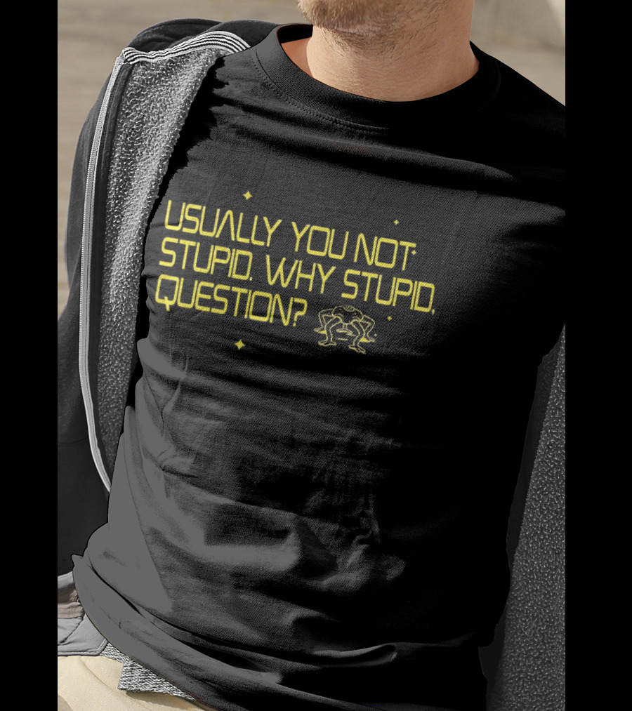 Usually You Not Stupid Why Stupid Question Project Hail Mary T-Shirt