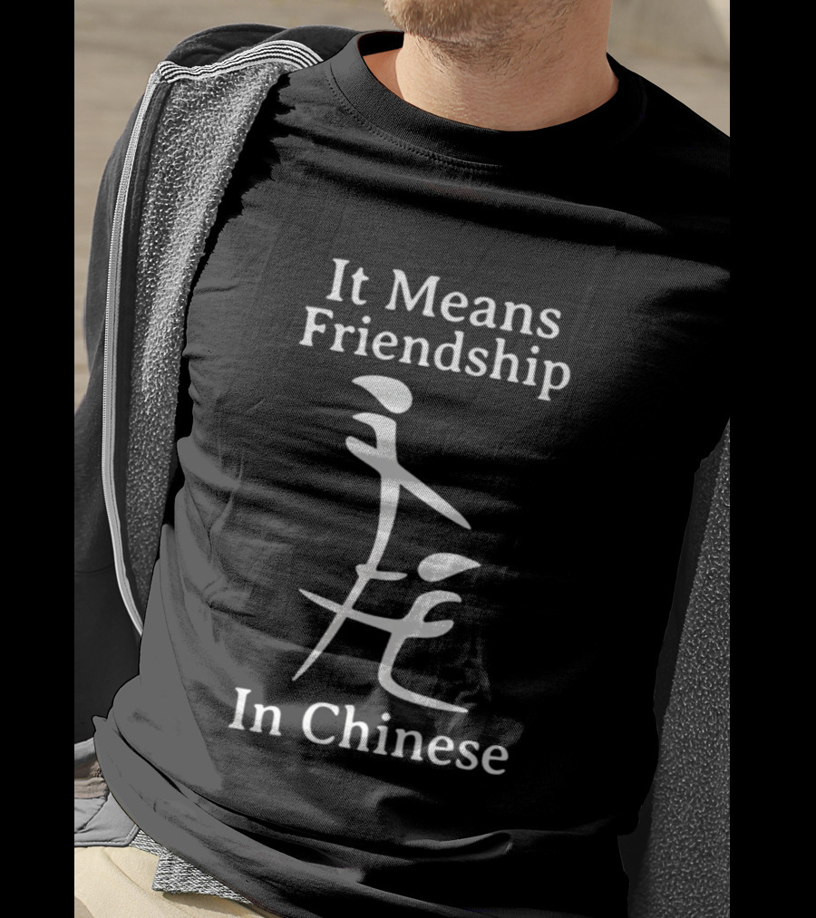 It Means Friendship In Chinese Inappropriate T-Shirt