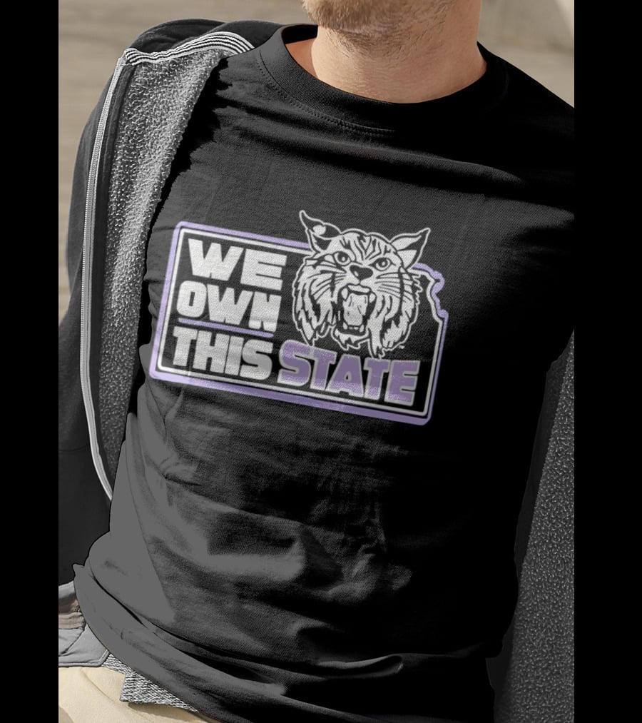 We Own This State Kansas Wildcats Basketball T-Shirt