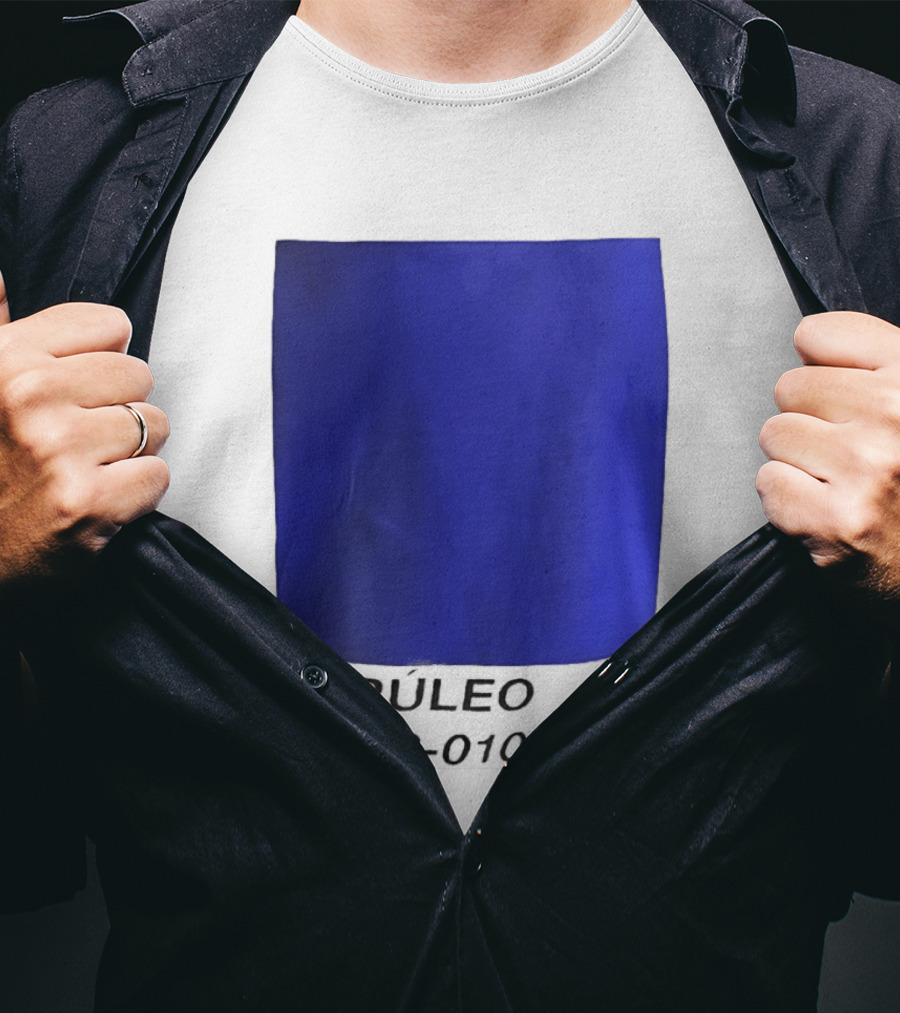 Ceruleo DWP2 010526 T-Shirt