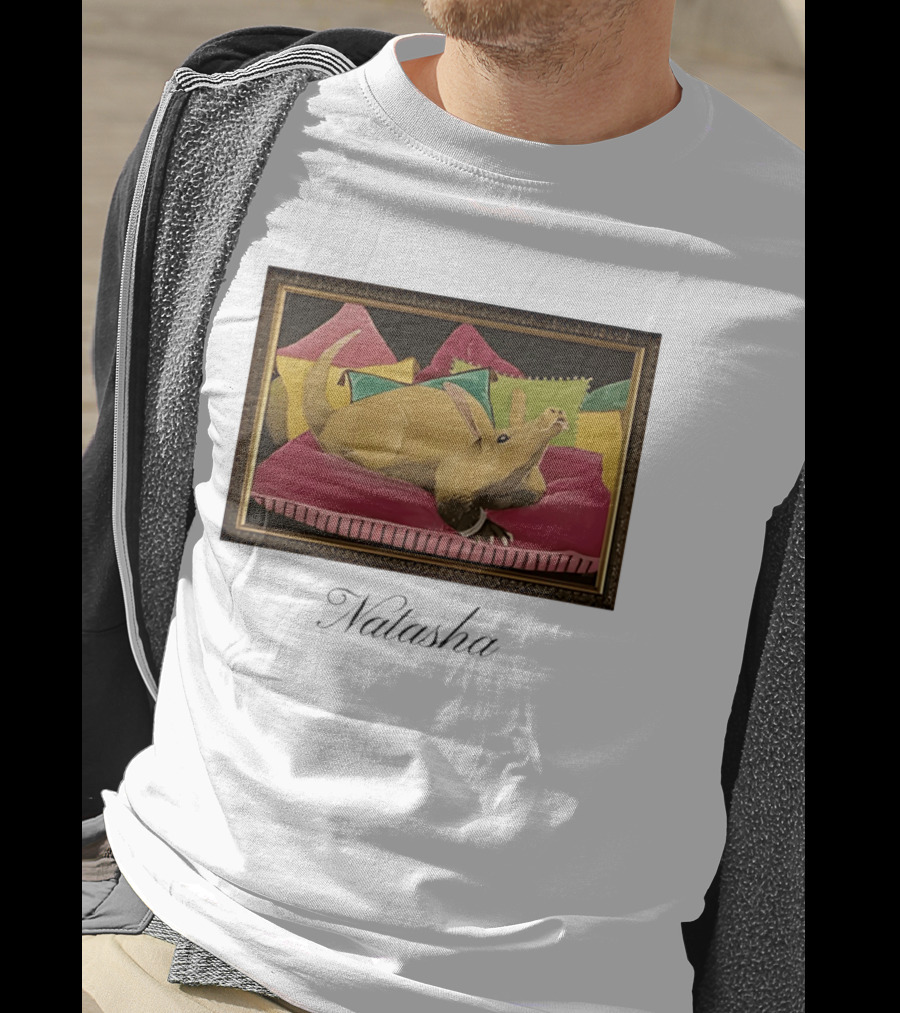 Natasha Painting Photo Flame Armadillo On Pillows Framed T-Shirt