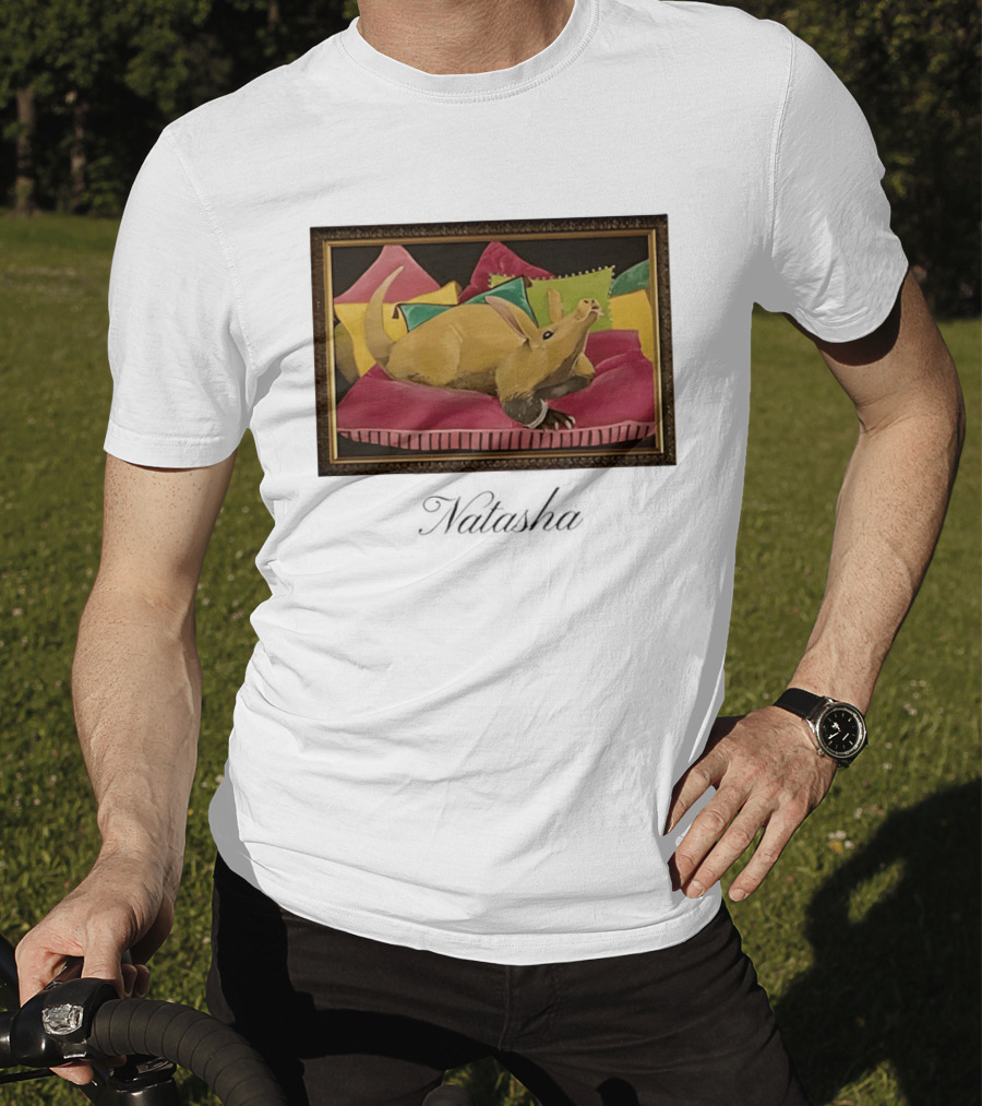 Natasha Painting Photo Flame Armadillo On Pillows Framed T-Shirt