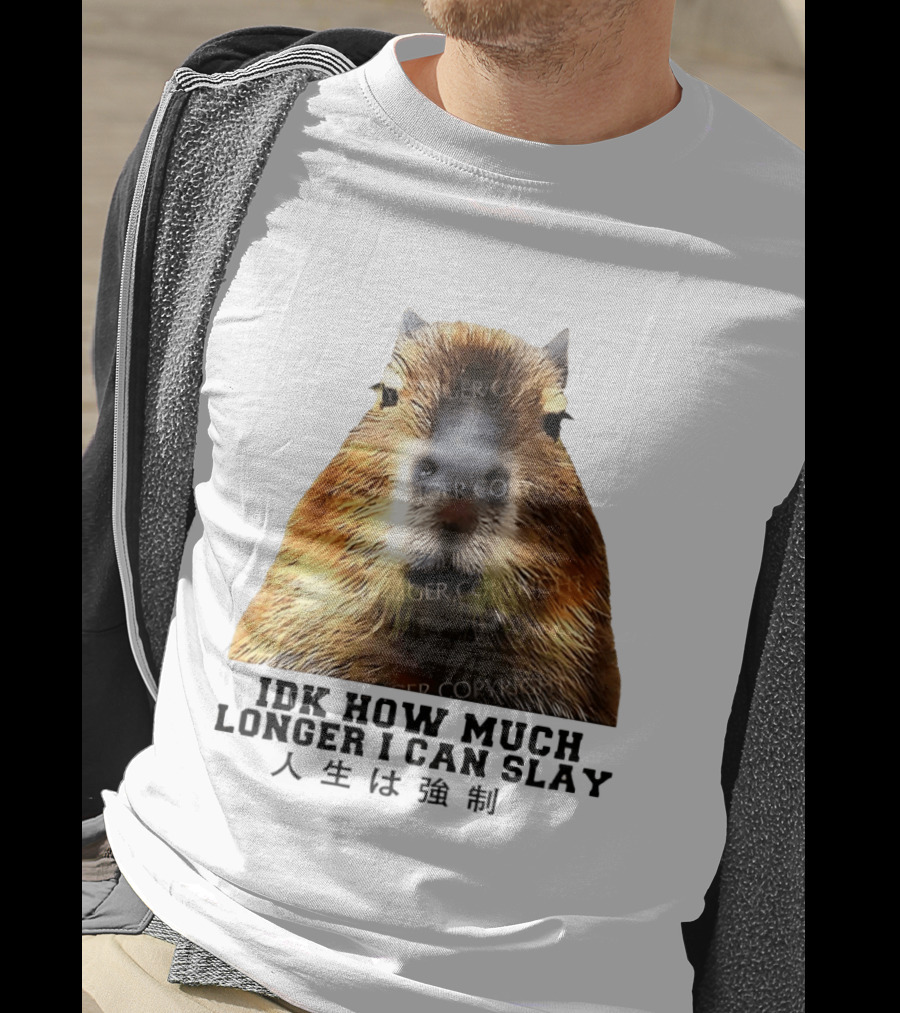 Capybara Idk How Much Longer I Can Slay T-Shirt