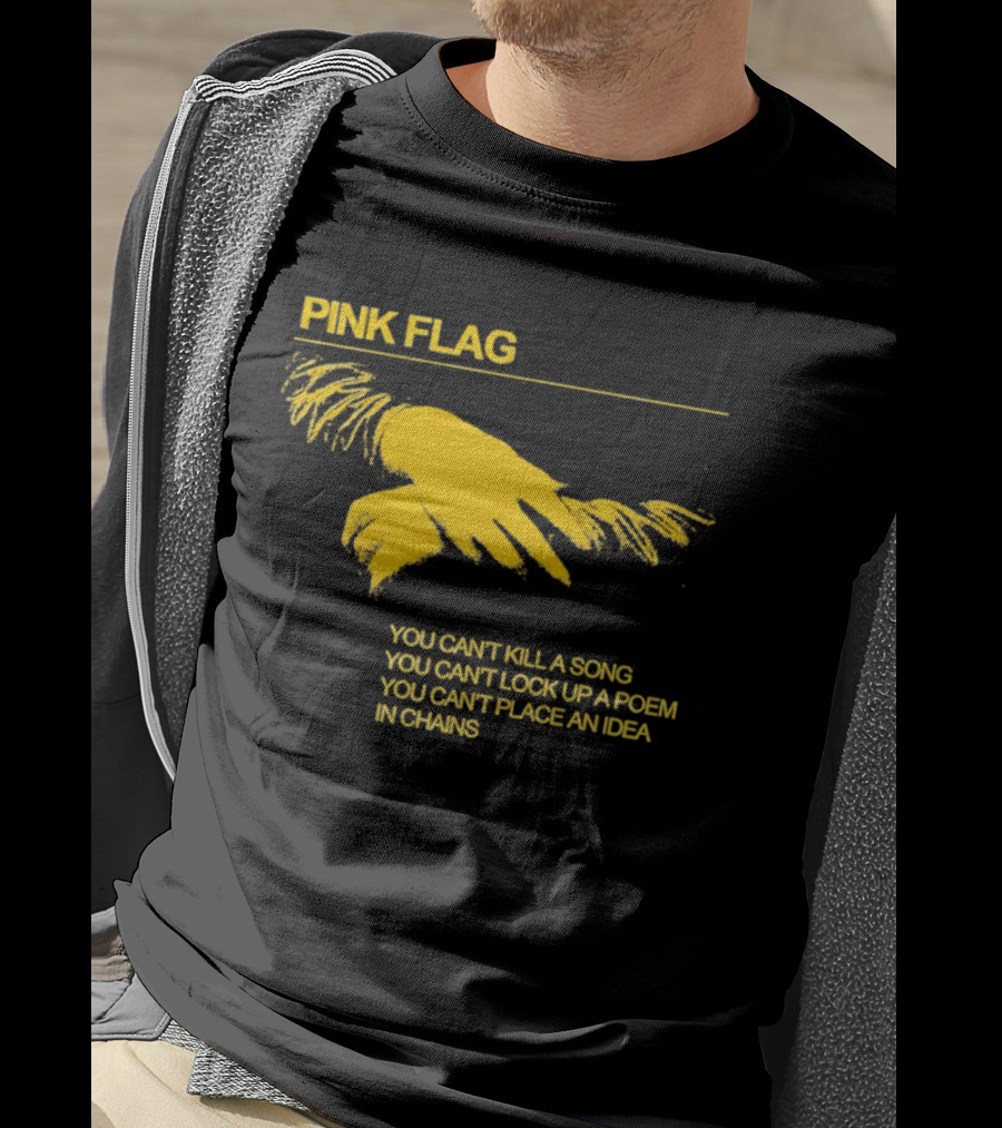 Pink Flag You Can't Kill A Song Poem Idea In Chains T-Shirt