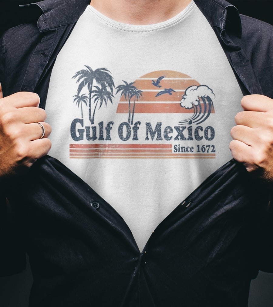 Gulf Of Mexico Coconut Trees Seahawks Sunset Since 1672 T-Shirt